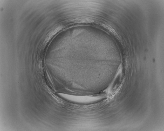 X0000069410881200606021719