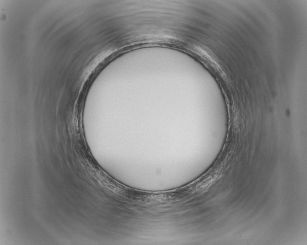 X0000069410883200606021719