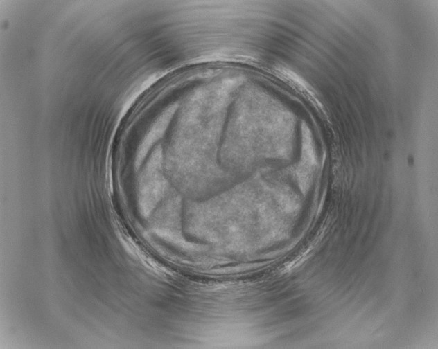 X0000069410892200606021719
