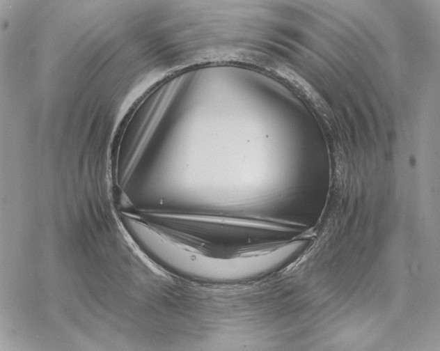 X0000069410894200606021719