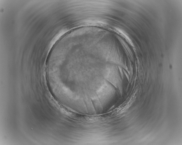 X0000069410899200606021719