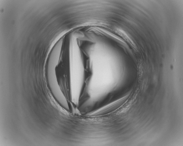 X0000069410900200606021719