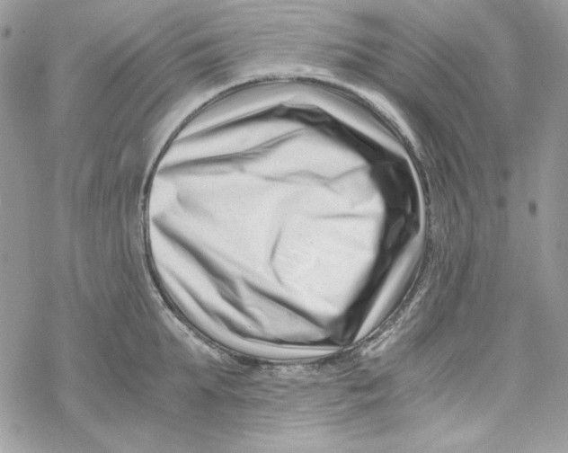 X0000069410903200606021719