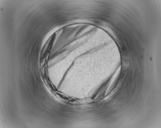 X0000069410910200606021718