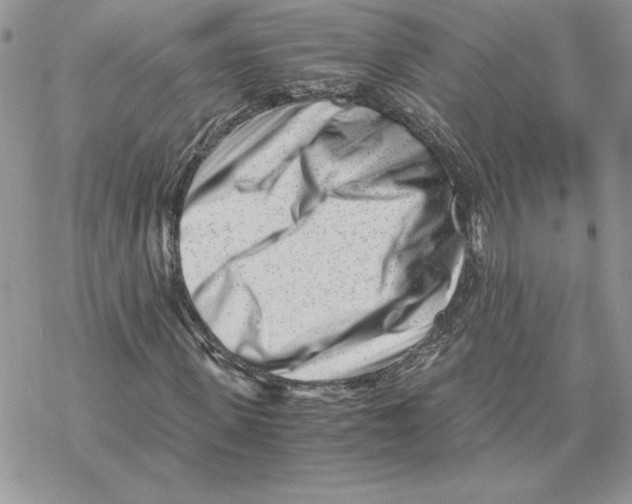 X0000069410915200606021718
