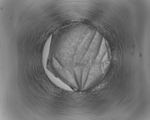 X0000069410916200606021718