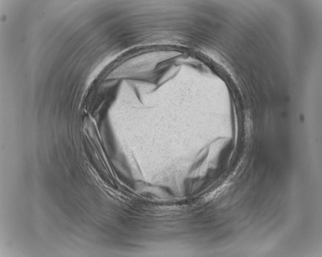 X0000069410925200606021718