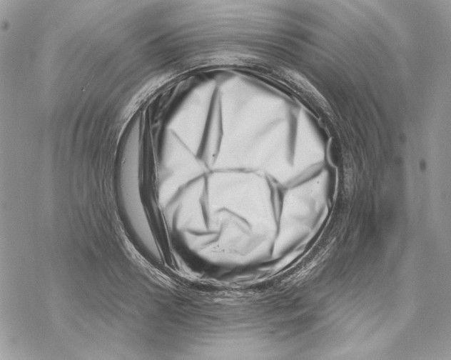 X0000069410938200606021718