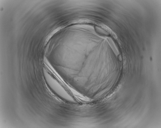 X0000069410945200606021718