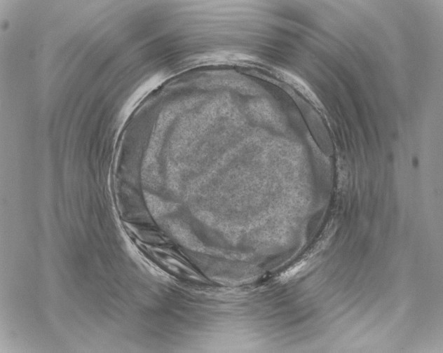 X0000069410946200606021718