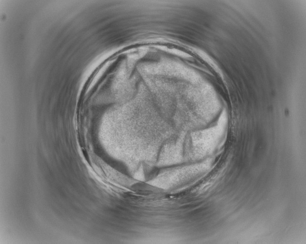 X0000069410951200606021718