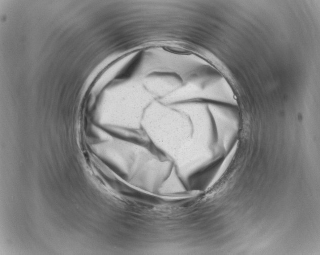 X0000069410955200606021718
