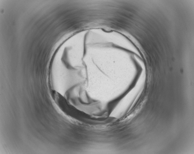 X0000069410957200606021718