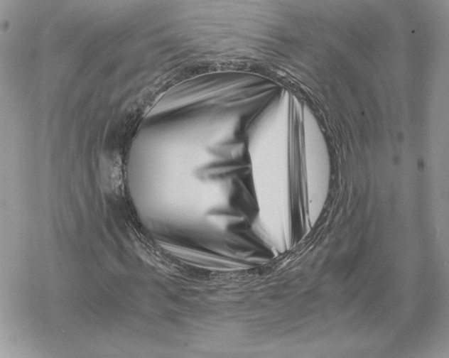 X0000069410963200606021718