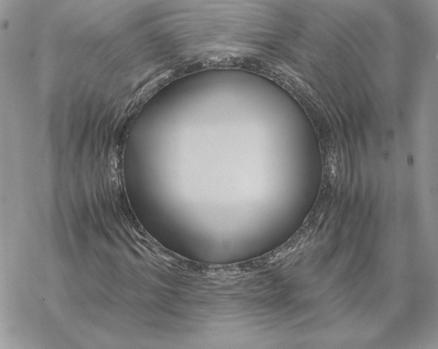 X0000069410964200606021718