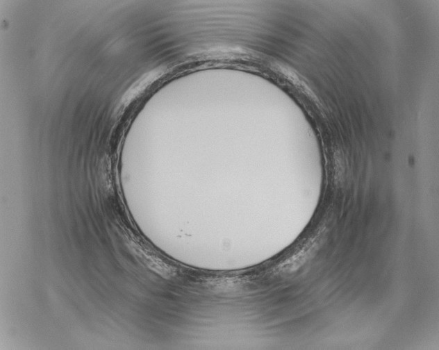 X0000069410970200606021717