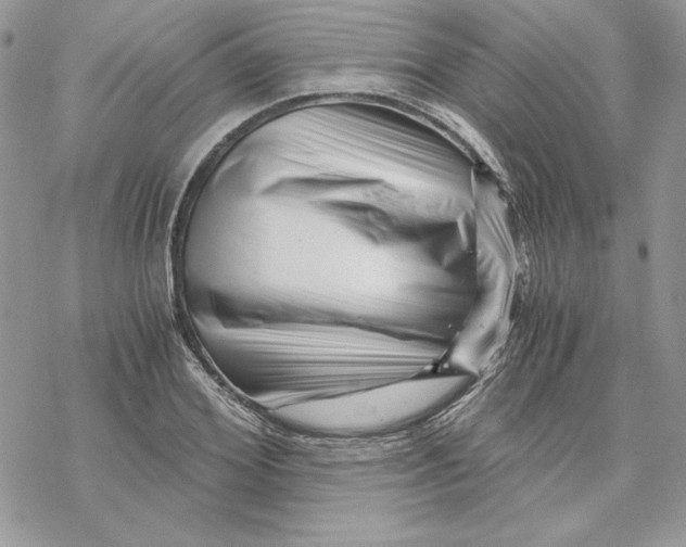 X0000069410980200606021717