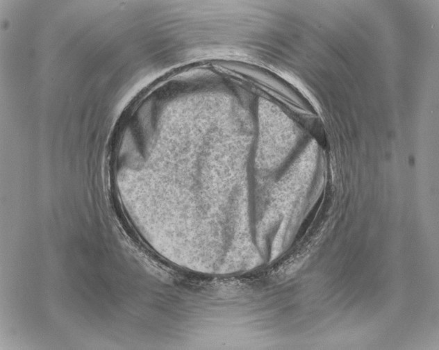 X0000069410983200606021717