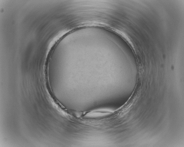 X0000069410995200606021717