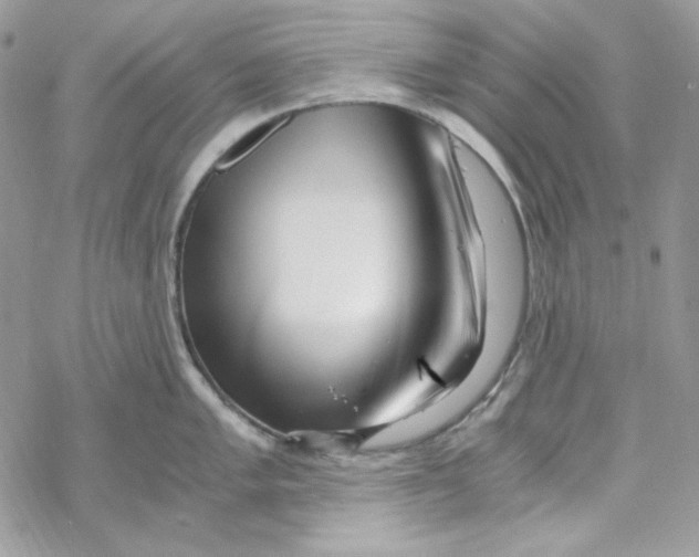 X0000069411005200606021717