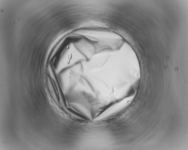 X0000069411008200606021717
