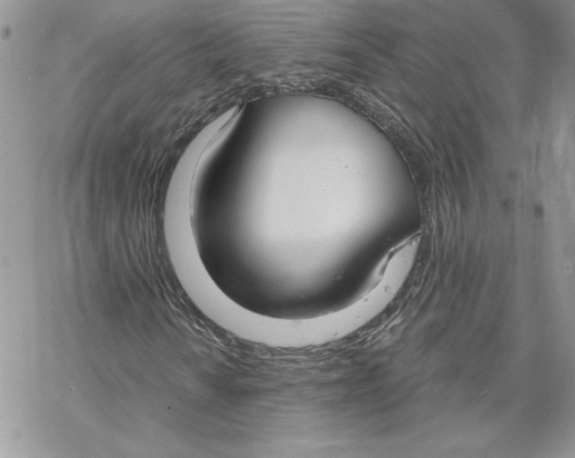 X0000069411010200606021716