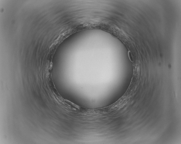 X0000069411012200606021716