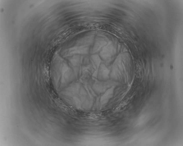 X0000069411013200606021716