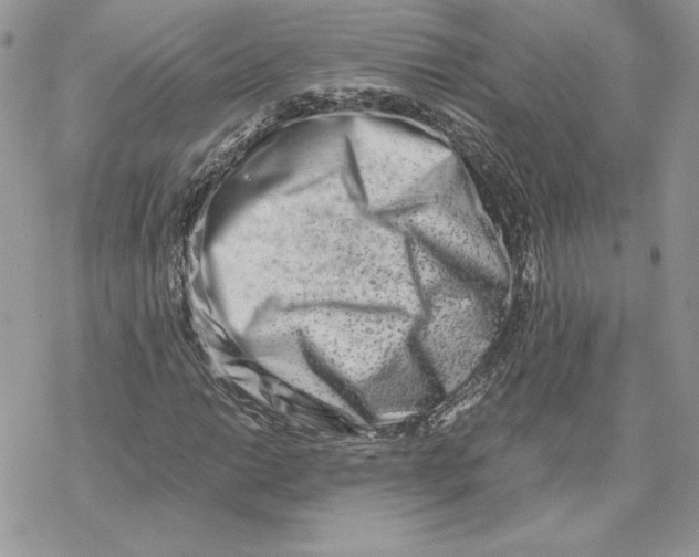 X0000069411014200606021716