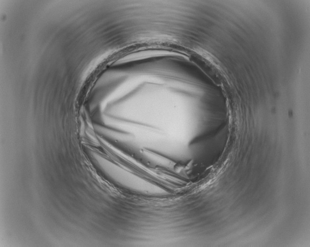 X0000069411022200606021716