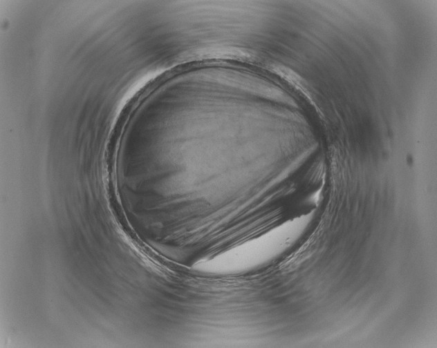 X0000069411024200606021716