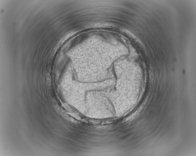 X0000069411025200606021716