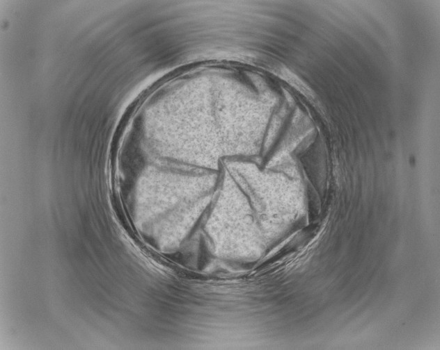 X0000069411028200606021716