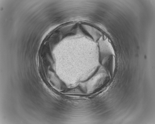 X0000069411032200606021716