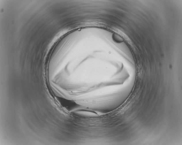 X0000069411043200606021717