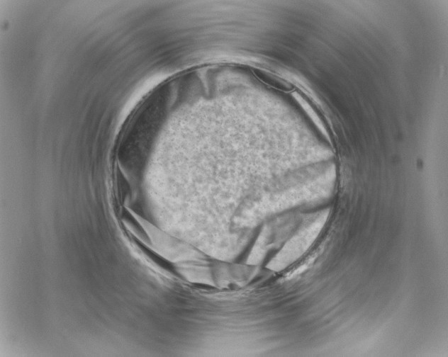 X0000069411048200606021717