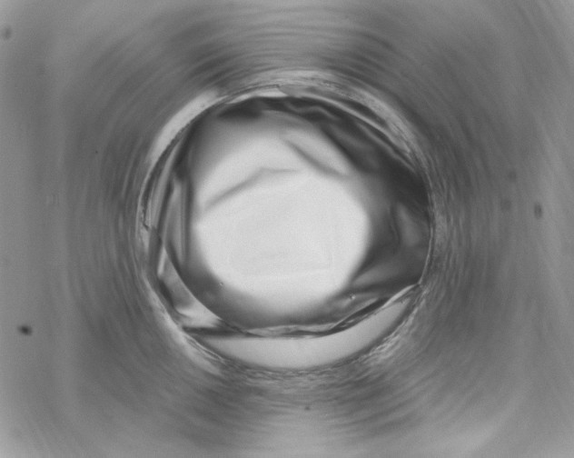 X0000069411050200606021717
