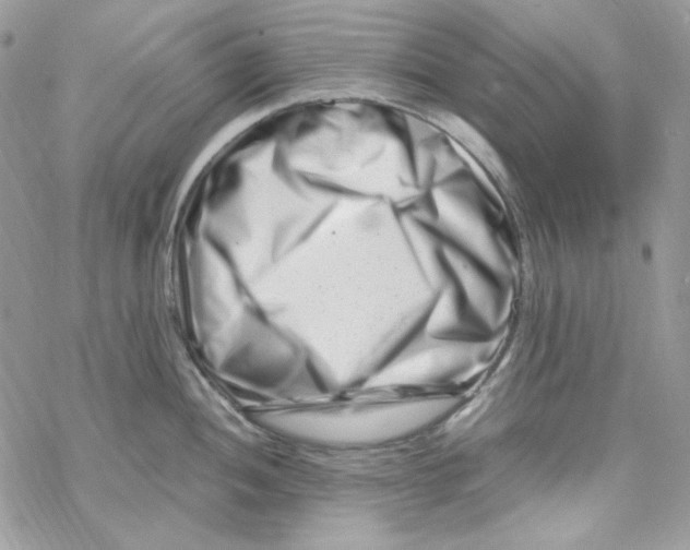 X0000069411052200606021717