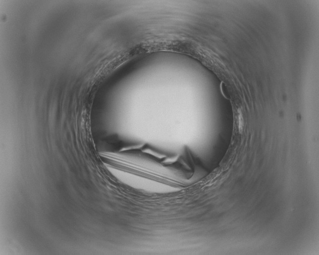 X0000069411059200606021716