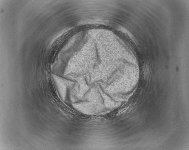 X0000069411064200606021716