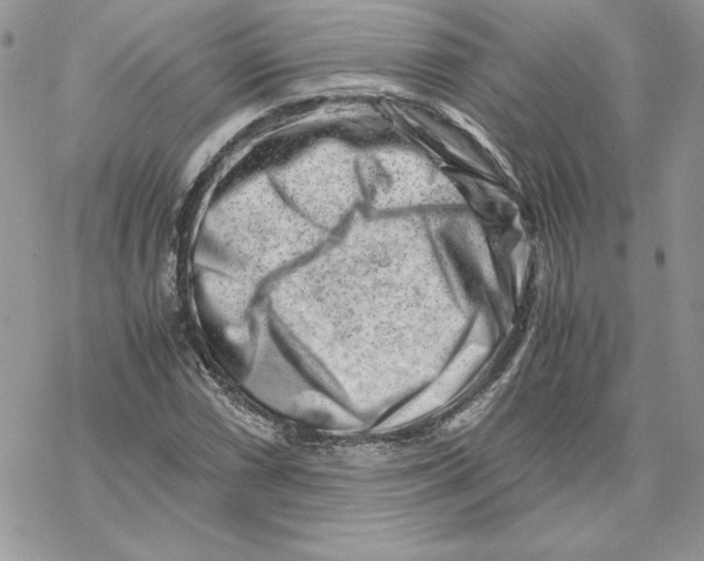 X0000069411066200606021716