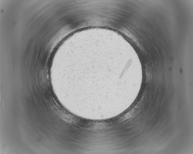 X0000069411070200606021716