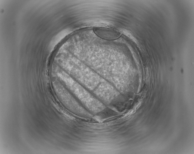 X0000069411071200606021716