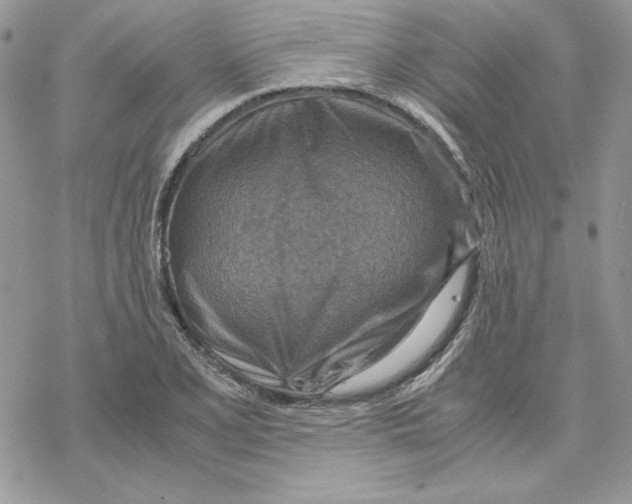 X0000069411077200606021716