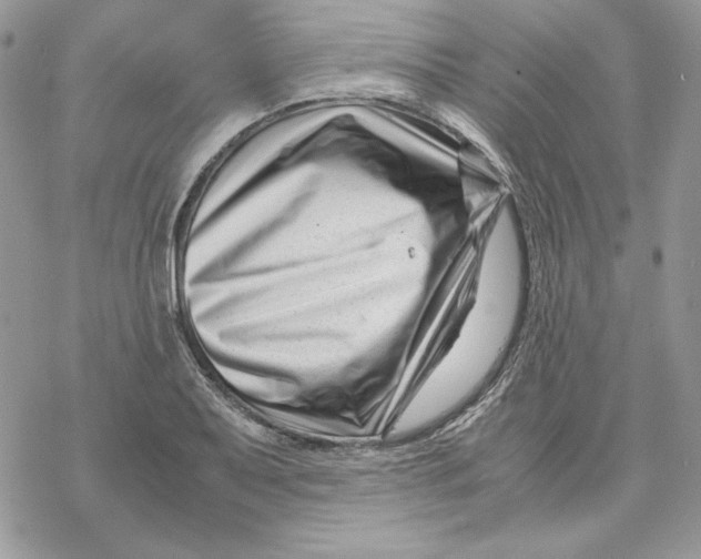 X0000069411079200606021716