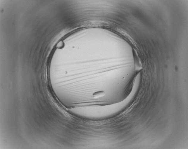 X0000069411083200606021716