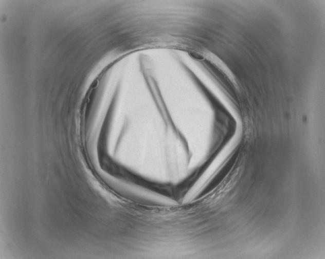 X0000069411099200606021715
