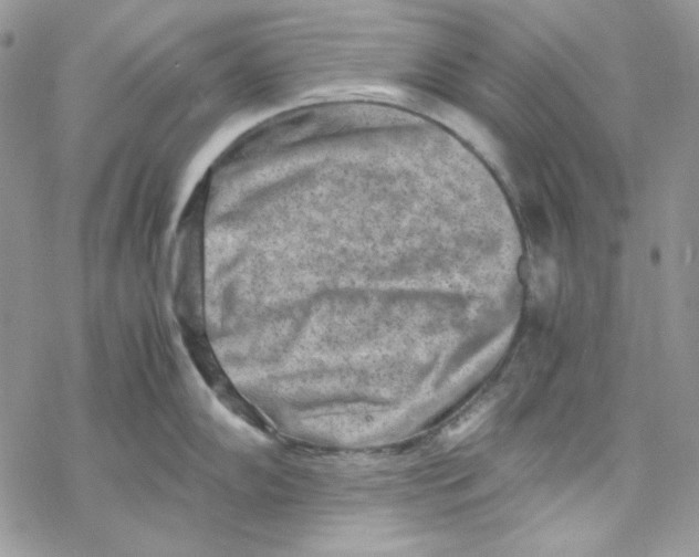 X0000069411102200606021715