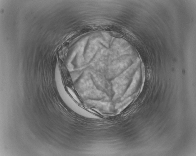 X0000069411108200606021715