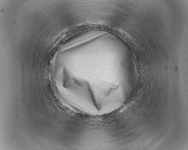 X0000069411110200606021715